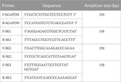 Insights into the mechanisms governing P01 scorpion toxin effect against U87 glioblastoma cells oncogenesis